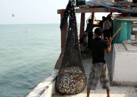مقابله با صید «شب چراغی» در خلیج فارس نیازمند حمایت قوه قهریه