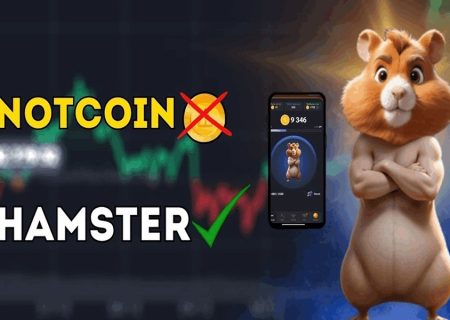 همه چیز درباره همستر کامبت/ آیا با همستر پولدار می‌شویم؟