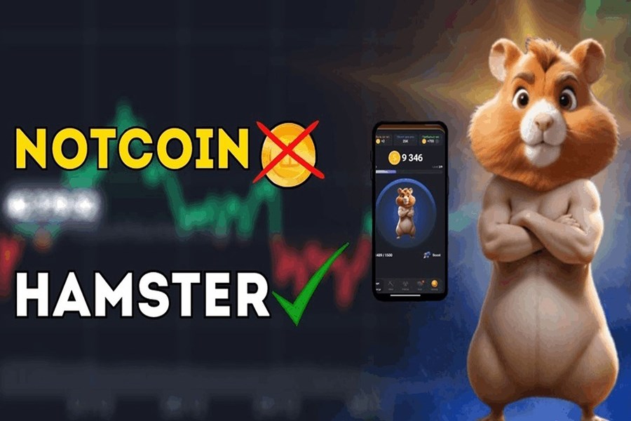 همه چیز درباره همستر کامبت/ آیا با همستر پولدار می‌شویم؟