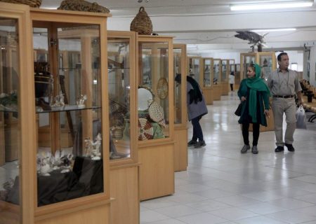 درخشش موزه ژئوپارک جهانی قشم در کشور/ کسب رتبه سوم در دسترس پذیری برای معلولان