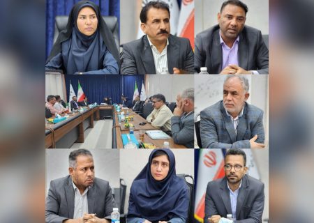 رئیس شورای شهر قشم: خسارات ناشی از سوختگی لوازم خانگی جبران شود/ مدیر برق شهرستان: بی برقی حق مردم قشم نیست؛ خطوط حیاتی قطعی ندارد