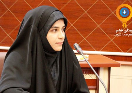 جراره: گرمای سوزان و صف‌های بنزین رنج مردم هرمزگان را دوچندان کرده است/ مطالبه پیگیری ملی برای افزایش سهمیه