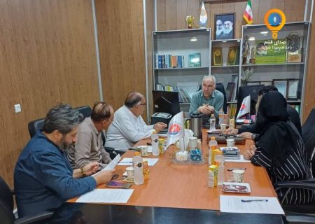 مدیران مجتمع های تجاری قشم خواستار بخشودگی یا تعویق مطالبات دولتی شدند