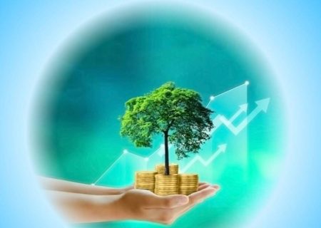 مشوق ۵۰ درصدی سازمان منطقه آزاد قشم برای صدور مجوز کسب‌وکار