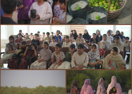 سالانه ۲۰۰ هزار نهال حرا؛ تقویت زیست‌بوم در روستای جهانی سهیلی