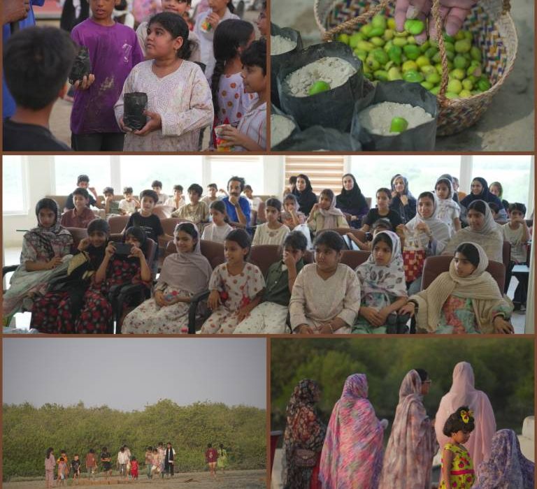 سالانه ۲۰۰ هزار نهال حرا؛ تقویت زیست‌بوم در روستای جهانی سهیلی